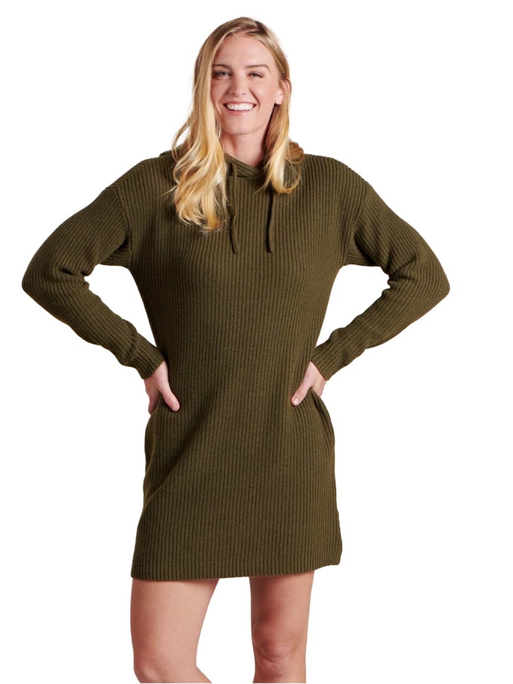 Toad & Co Wool Blend Dress Whidbey Hooded Sweater Dress